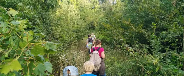 "Ab in die Natur" so das Motto vom Verein "Grünschnabel", der Kindern den Stadtdschungel in Thalheim bei Wels zeigen möchte. | Foto: Grünschnabel