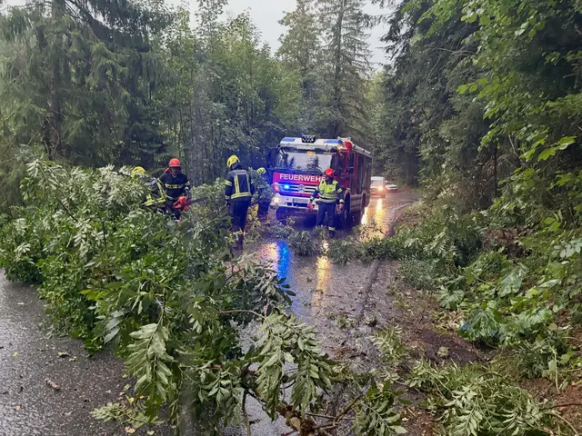 Auf der Lucknerstraße ging gar nichts mehr, ein Baum hatte die Fahrbahn verlegt. | Foto: FF Bärnbach