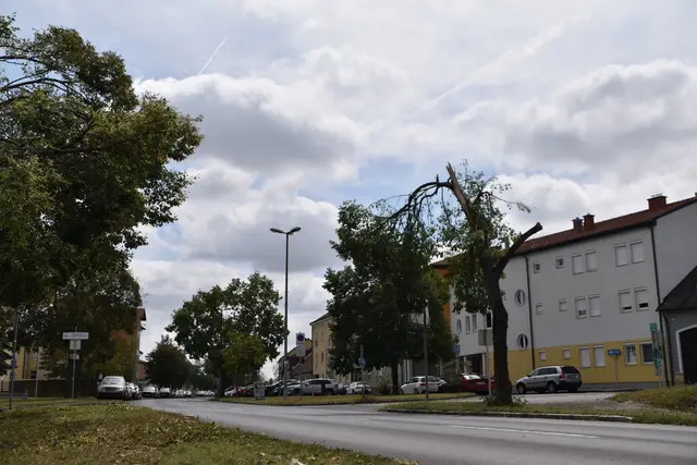 Foto: Dorottya Fejes/MeinBezirk