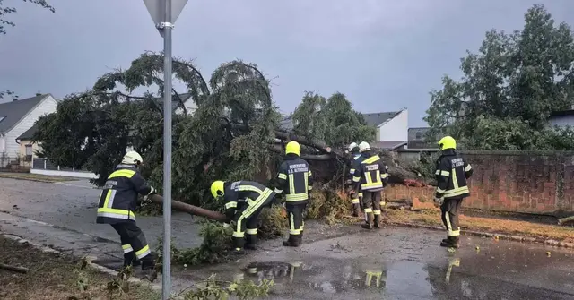 umgestürzter Baum mit Feuerwehrleuten