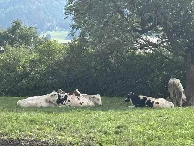 Foto: MeinBezirk/Astrid Moder
