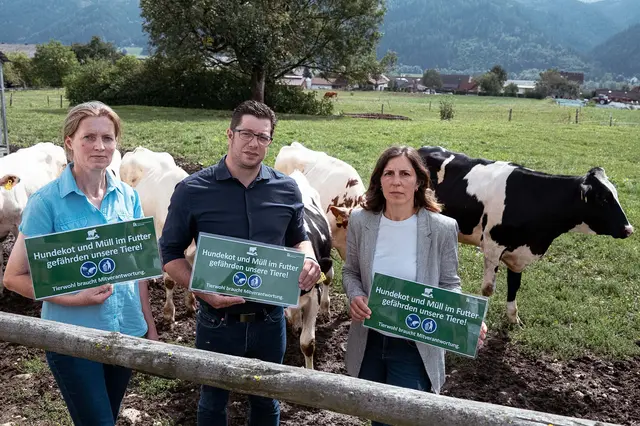 Hundekot auf Wiesen und Weiden kann für andere Tiere und die Umwelt weitreichende Folgen haben und einen enormen Schaden anrichten. Im Bild: die betroffene Bäuerin Heidrun Ofner, LK-Bezirksobmann Richard Judmaier und Betreuungstierärztin Barbara Wolfger. | Foto: LK Steiermark/Daniel Winter