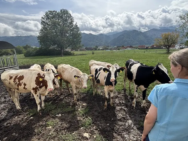 Foto: MeinBezirk/Astrid Moder