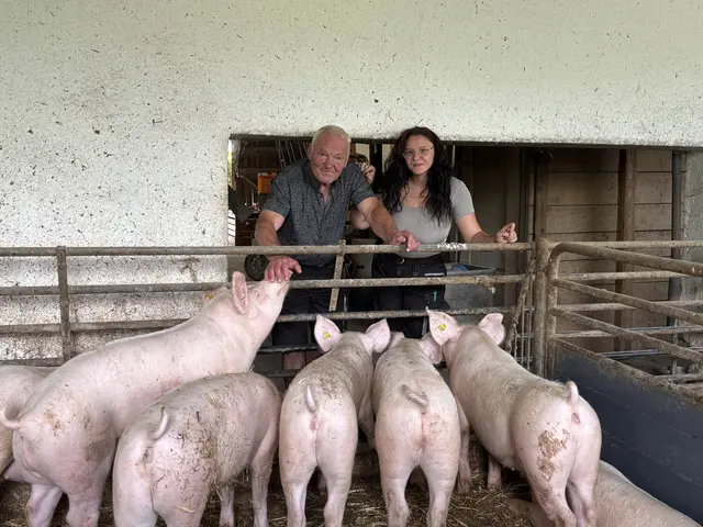 Lokalaugenschein bei den Bauern: Familie Hoffmann spricht über die Dürre und kritische Situation.  | Foto: Lauren Fahrenberger / MeinBezirk
