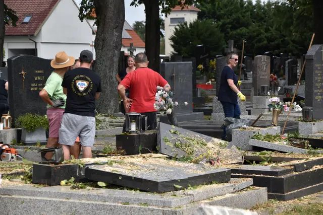 Foto: Dorottya Fejes/MeinBezirk
