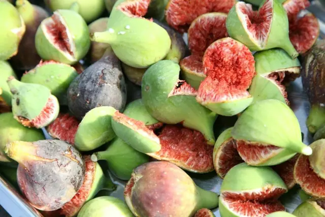 Mit über 350 Feigenbaumarten und über 100 Feigensorten, die im Frühsommer geerntet werden, steht der Vielfalt nichts im Weg. | Foto: Bio-Feigenhof