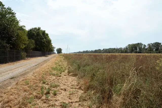 Rund 30.000 Quadratmeter groß ist das Feld. Zwei Bauunternehmen planten ein Wohnprojekt, die Stadt Wien verhinderte es.  | Foto: Sade Jerabek/MeinBezirk