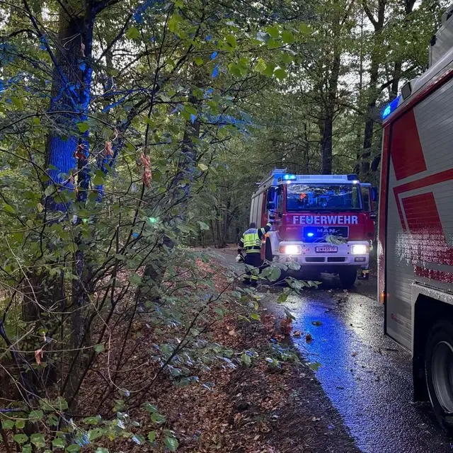 Foto: Feuerwehr Kohfidisch