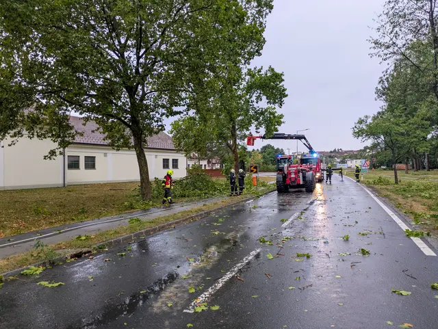 Foto: Bezirksfeuerwehrkommando Oberwart/Alexander Flaschberger