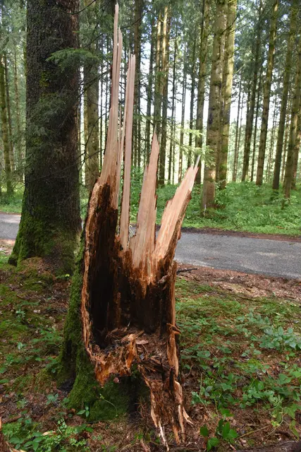 Foto: Alois Braid / zema.medien.de
