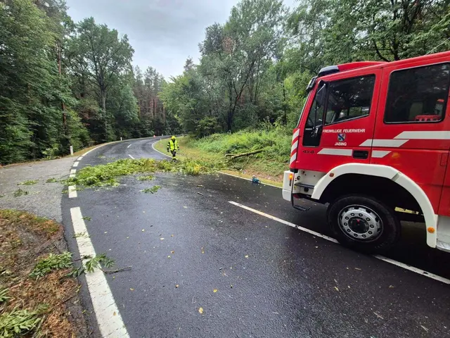 Die Feuerwehr Jabing rückte aus, um einen Baum von der Straße zu entfernen. | Foto: Feuerwehr Jabing