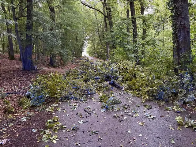 Auch am Hochcsater blockierte ein umgestürtzer Baum die Straße. | Foto: Feuerwehr Kohfidisch