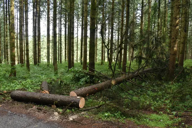Foto: Alois Braid / zema.medien.de