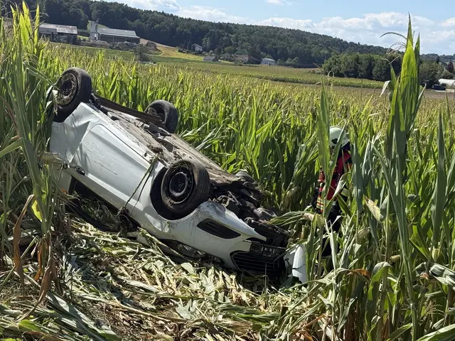 Am Sonntagnachmittag kam ein Auto von der Fahrbahn ab, prallte gegen ein Verkehrsschild und einen Baum und überschlug sich. | Foto: Bezirksfeuerwehrkommando Güssing