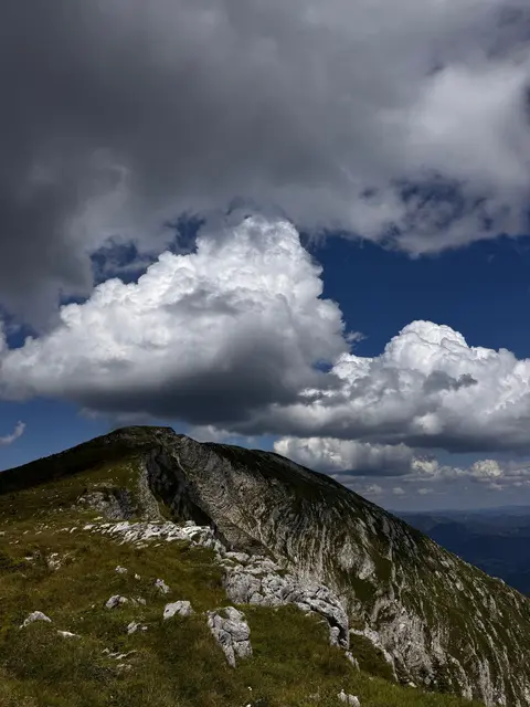 Foto: pexels / György Lakatos