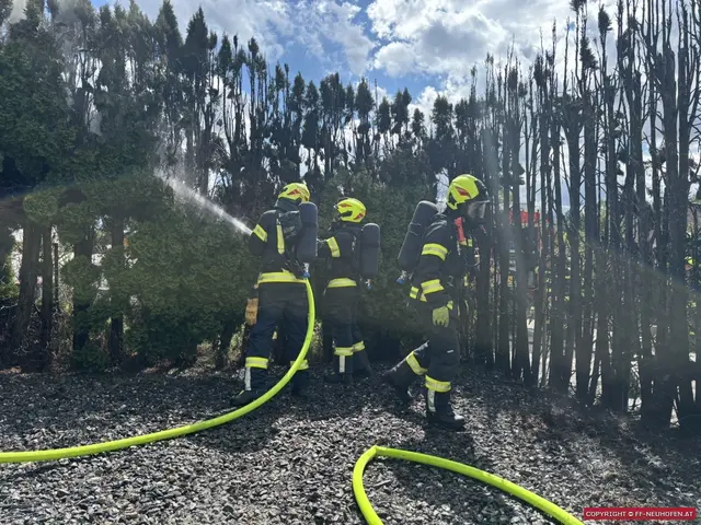 Diese hohe Hecke in Neuhofen geriet gestern, 22. August 2026, in Brand. | Foto: FF Neuhofen in Innkreis