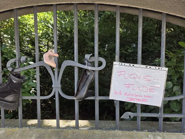 Erkennt jemand seinen Schuh wieder? Das Diebesgut des Fuchses hängt in der Gobergasse. | Foto: z.V.g.