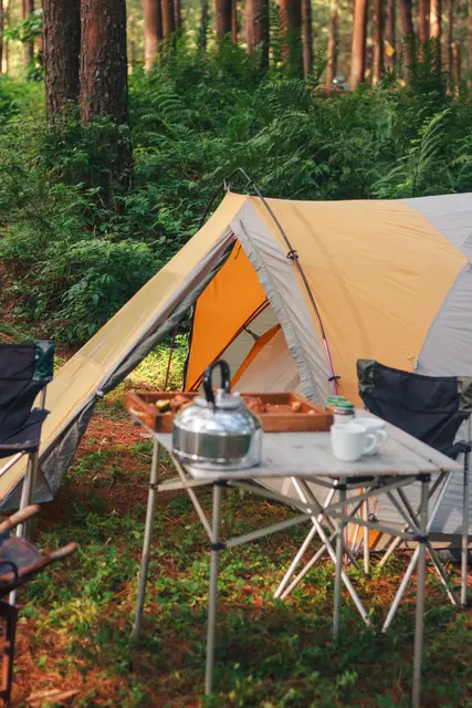 Tirols Campingplätze verzeichneten im bisherigen Sommer 2026 ein deutliches Plus bei den Nächtigungen. (Symbolbild) | Foto: Pexels/Pixelman Dapha