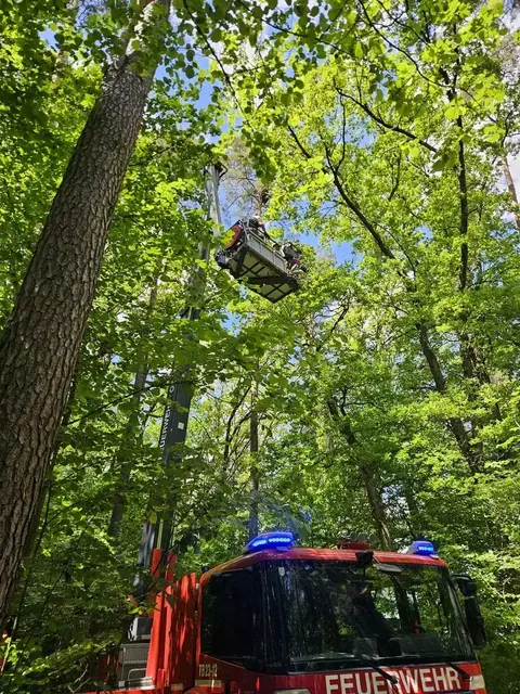 Pkw stürzte in Baugrube (Symbolbild) | Foto: BFKDO Güssing