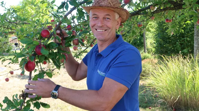 "Klug im Garten" – Gartengestalter Helmut Klug: "Der Herbst ist die beste Zeit, um einen Garten anzulegen, Pflanzen zu setzen und Rasen zu säen." | Foto: Helmut Klug