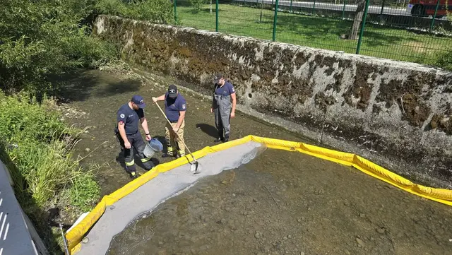 Foto: Freiwillige Feuerwehr Ried