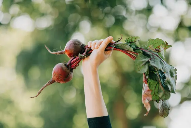 Foto: Marisa Morton Unsplash