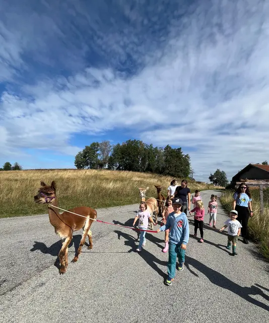 Die Wanderung mit den Alpakas war besonder spannend. | Foto: Raiffeisen/Uniconsult