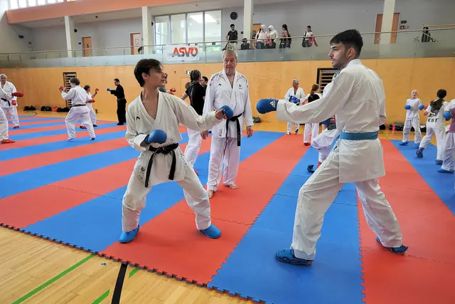 Auch die Fürstenfelder Karateka brachten sich beim viertägigen Sommercamp in Form. | Foto: Waltraud Wachmann