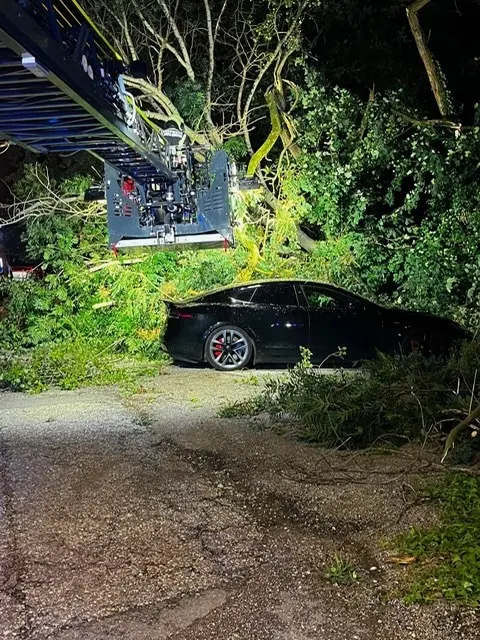Foto: Feuerwehr St. Andrä-Wördern
