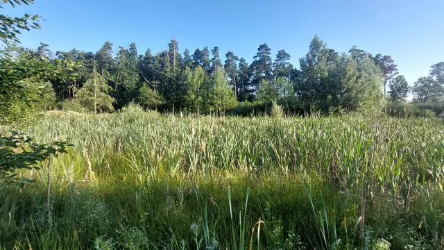 Das Feuchtgebiet im Ortsteil Hautzendorf ist neuer geschützter Landschaftsteil. | Foto: Marktgemeinde Premstätten
