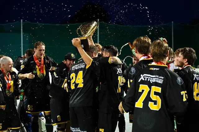 Im dritten Finalspiel machte der VAS mit einem 7:2-Erfolg gegen ASKÖ Villach den Meistertitel perfekt. | Foto: Österreichischer Ballhockey Verband