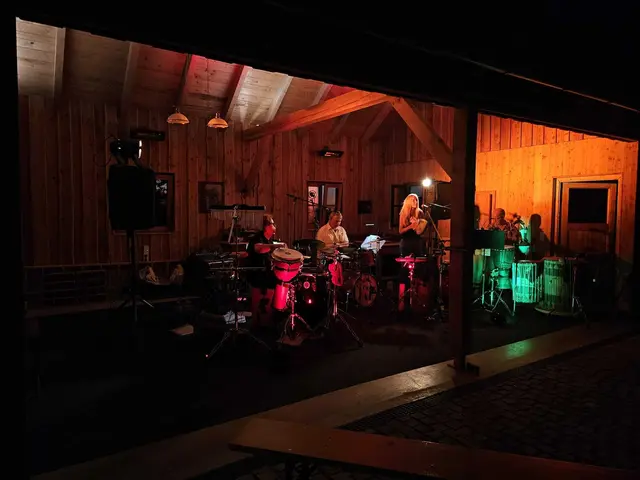 Die Percussion-Formation Bambu Radio sorgte im Kultur-Ferienhaus "Stein im Holz" für einen energiegeladenen Konzertabend.
 | Foto: Kulturverein Stein im Holz
