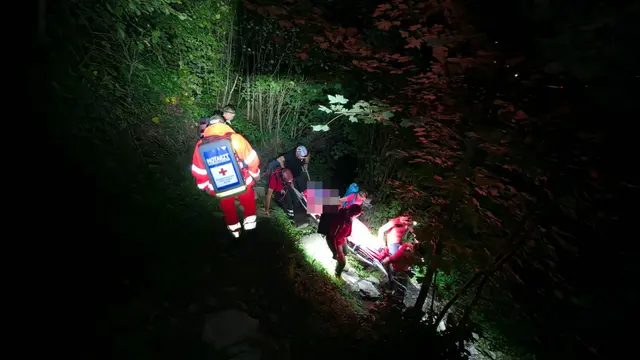 Auf dem Wanderweg Zimmereben in Schwendau kam ein 43-jähriger Wanderer aus England zu Sturz. | Foto: ZOOM.TIROL
