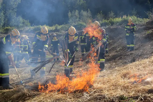 Mit entsprechendem Schutz und Gerät ging es an die Brandbekämpfung.  | Foto: BFV Weiz