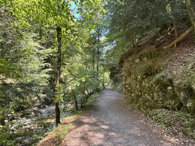 Die Sperre der Glasenbachklamm wird voraussichtlich bis Mitte November 2026 andauern. | Foto: Emanuel Hasenauer