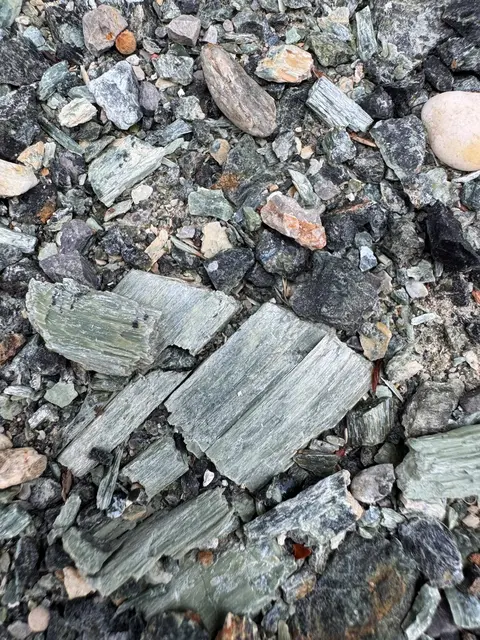 Beim Spaziergang mit seinem Hund ist einem Passanten das verdächtige Material aufgefallen. | Foto: zVg