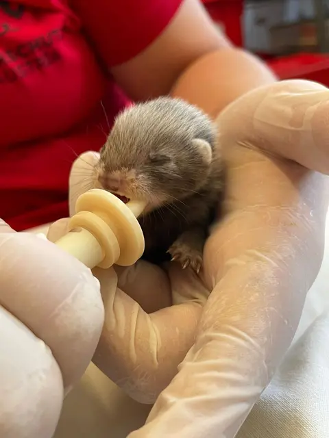 Foto: Tierschutz Austria