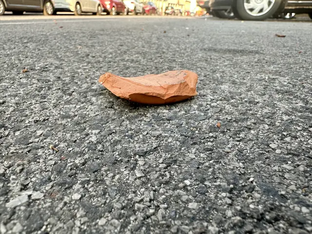 In der Nacht auf den 31. Juli 2026 warf ein Bewohner eines Gemeindebaus in der Goldschlagstraße  Glasscherben sowie zumindest einen schweren, mit Erde gefüllten Blumentopf aus dem dritten Stock auf den Gehsteig, parkende Autos und die Fahrbahn. | Foto: privat