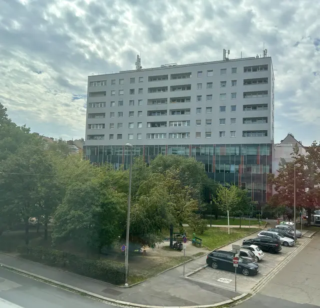 Die Situation im GWG-Park nahe dem Linzer Südbahnhofmarkt ist laut Vizebürgermeister Martin Hajart (ÖVP) untragbar und für Kinder eine Gefahr. | Foto: MeinBezirk