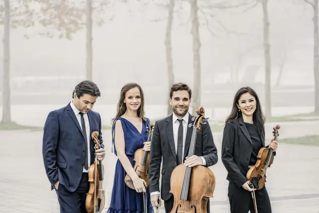 Die Mitglieder des Minetti Quartetts lernten einander an der Universität für Musik und darstellende Kunst Wien kennen und zählen heute zu den international renommierten Kammermusikensembles und spielen am Sonntag, den 30. August um 16 Uhr in Raabs auf. | Foto: Irene Zandel