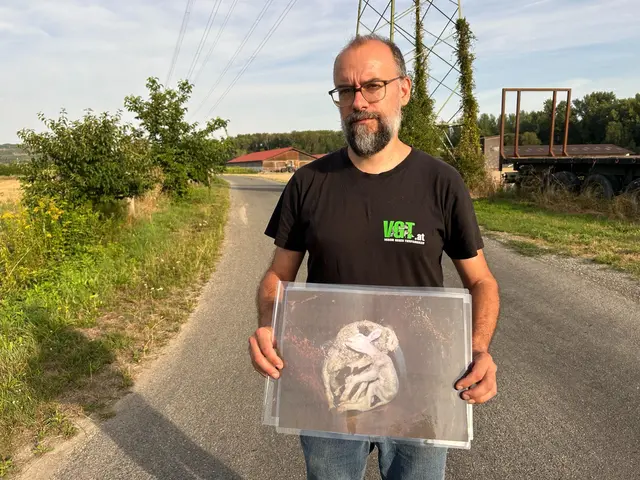 David Richter vom Verein gegen Tierquälerei findet harte Worte gegen den Betrieb in Herzogenburg.  | Foto: VGT