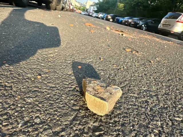 Gegenstände landen regelmäßig als Wurfgeschosse auf der Goldschlagstraße.  | Foto: privat