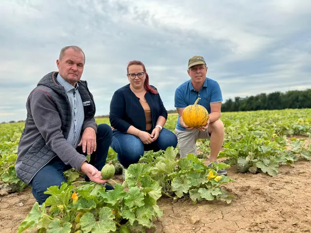 Bezirksbauerkammer-Obmann Herbert Hofer und Landwirtin Melissa Bischinger am Feld von Christoph Mader in Theras. | Foto: Markus Kahrer