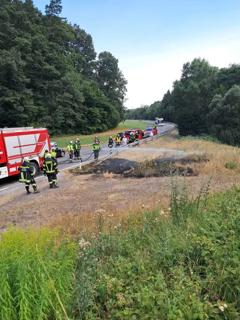 Trockene Wiesen und Böschungen gerieten nach Brandstiftung in Kalkgruben in Brand. | Foto: FF Weppersdorf