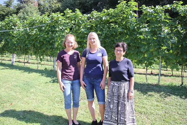 Michaela Pock, Simone Weber-Lindner, Gudrun Gangl (v.l.) | Foto: MeinBezirk/Herwig Brucker
