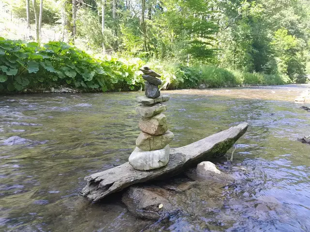 Die Klamm hat sich in der Hitzephase zum Hotspot für Mensch und Tier entwickelt. | Foto: WANDERFEE MORIYHA/Michaela Gold