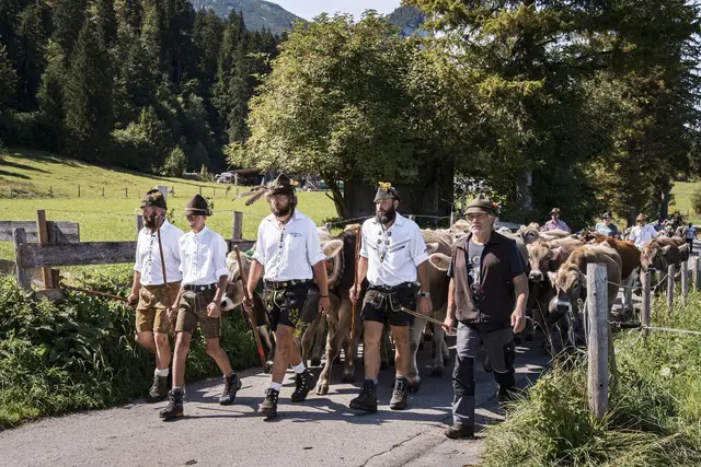 Der Herbst steht vor der Tür und damit verbunden auch wieder die traditionellen Almabtriebe im Bezirk Reutte. | Foto: TVB Naturparkregion Reutte