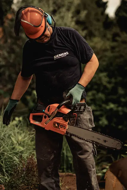 In Engelhartstetten kam es beim Fällen morscher Bäume zu einem tödlichen Arbeitsunfall. (Symbolfoto)  | Foto: pexels / Bram van Egmond