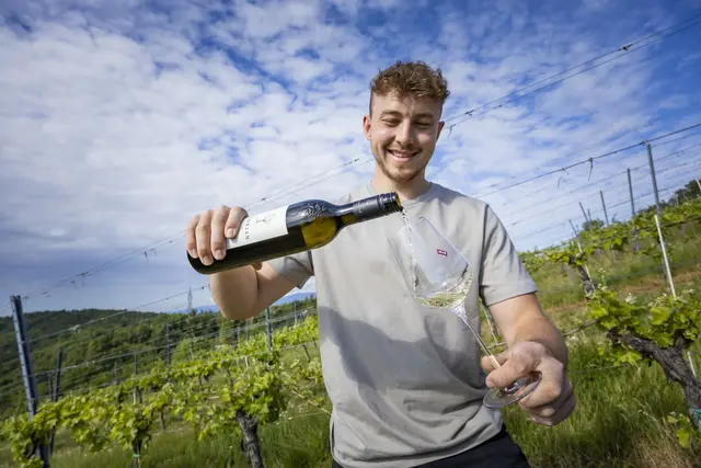 Tobias Glauninger aus Premstätten baut seinen Wein auf den Hängen des Grazer Kehlbergs an. | Foto: Werner Krug
