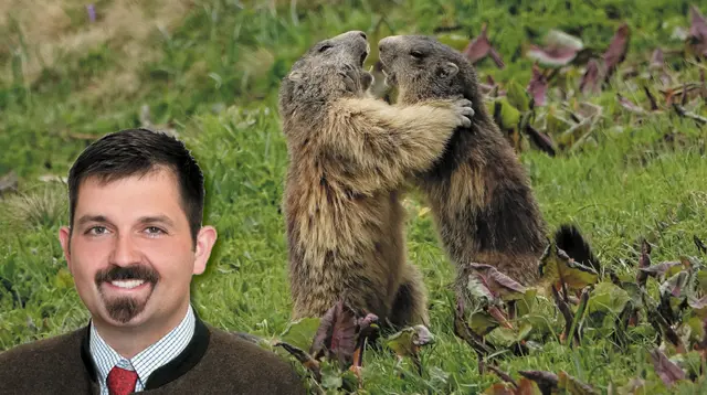 Bezirksjägermeister Christian Angerer spricht von einem sehr guten Murmeltierbestand. | Foto: Collage/Kärntner Jägerschaft/pexels-adrien-stachowiak